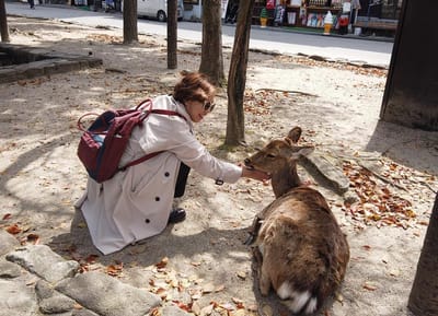 About Vinylrie image