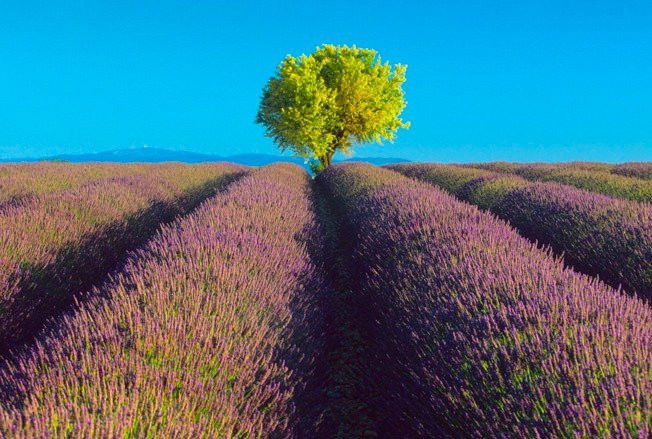 Ежедневный нумерологический прогноз