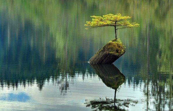 Ежедневный нумерологический прогноз