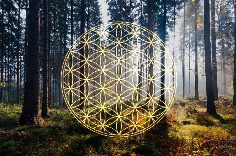 ежедневный нумерологический прогноз