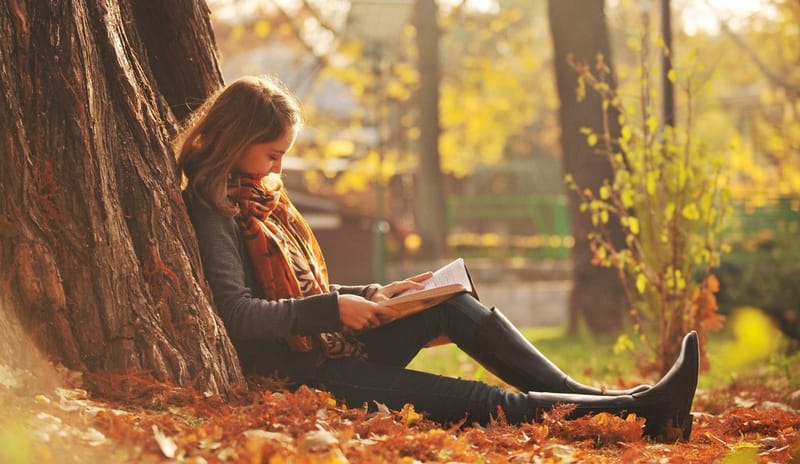 ежедневный нумерологический прогноз