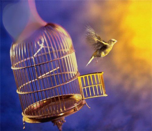 ежедневный нумерологический прогноз