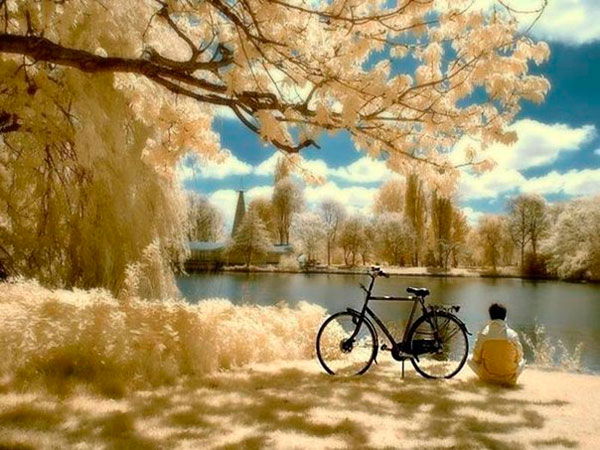 ежедневный нумерологический прогноз