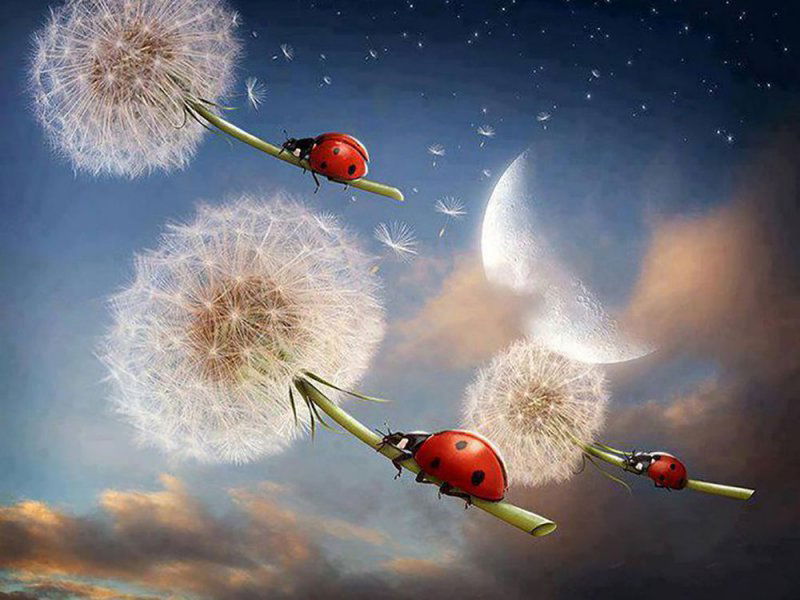 ежедневный нумерологический прогноз