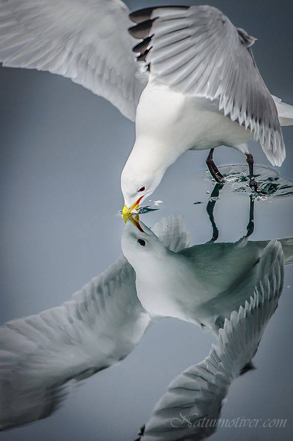 ЕЖЕДНЕВНЫЙ НУМЕРОЛОГИЧЕСКИЙ ПРОГНОЗ