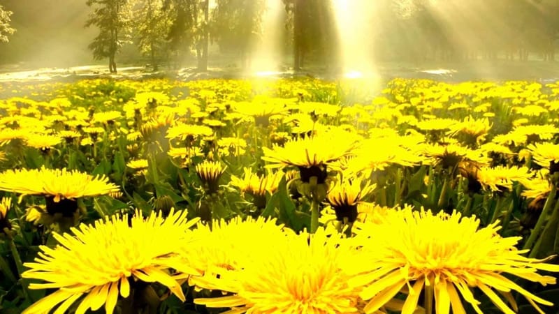 ЕЖЕДНЕВНЫЙ НУМЕРОЛОГИЧЕСКИЙ ПРОГНОЗ