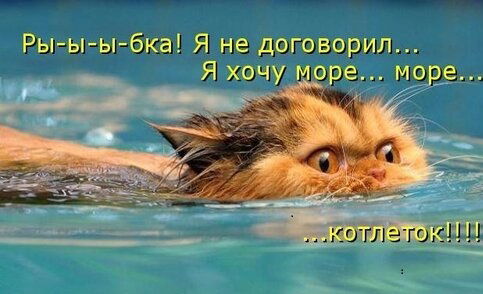 ЕЖЕДНЕВНЫЙ НУМЕРОЛОГИЧЕСКИЙ ПРОГНОЗ