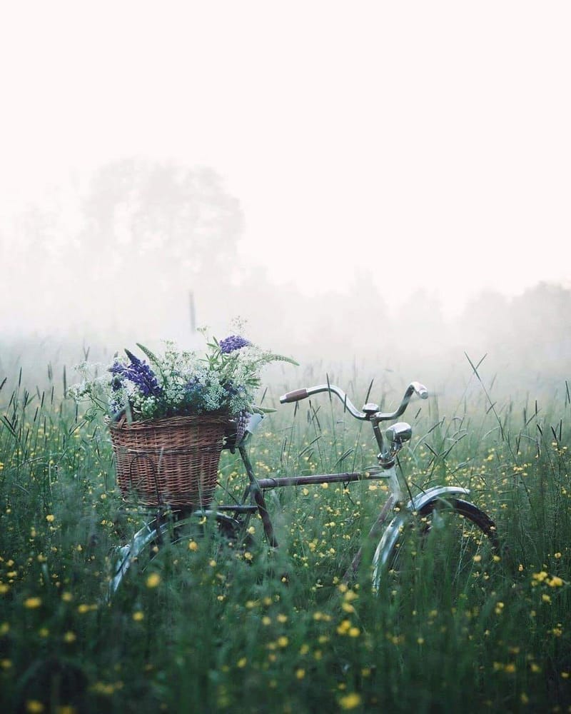 ЕЖЕДНЕВНЫЙ НУМЕРОЛОГИЧЕСКИЙ ПРОГНОЗ