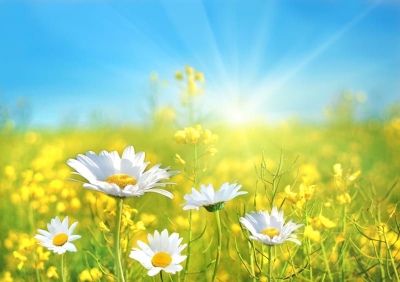 ЕЖЕДНЕВНЫЙ НУМЕРОЛОГИЧЕСКИЙ ПРОГНОЗ