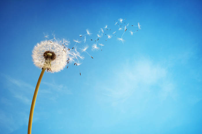 ЕЖЕДНЕВНЫЙ НУМЕРОЛОГИЧЕСКИЙ ПРОГНОЗ