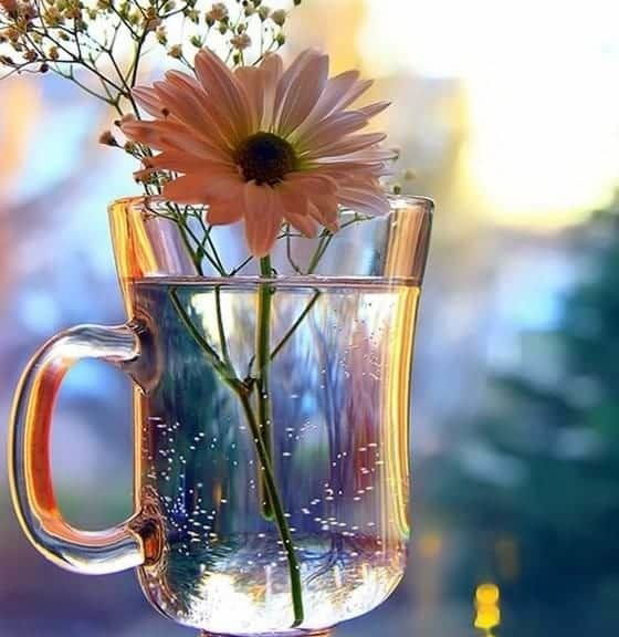 ЕЖЕДНЕВНЫЙ НУМЕРОЛОГИЧЕСКИЙ ПРОГНОЗ