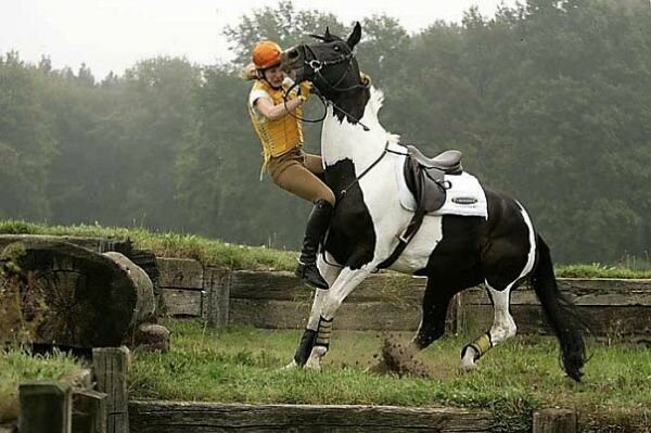 ЕЖЕДНЕВНЫЙ НУМЕРОЛОГИЧЕСКИЙ ПРОГНОЗ