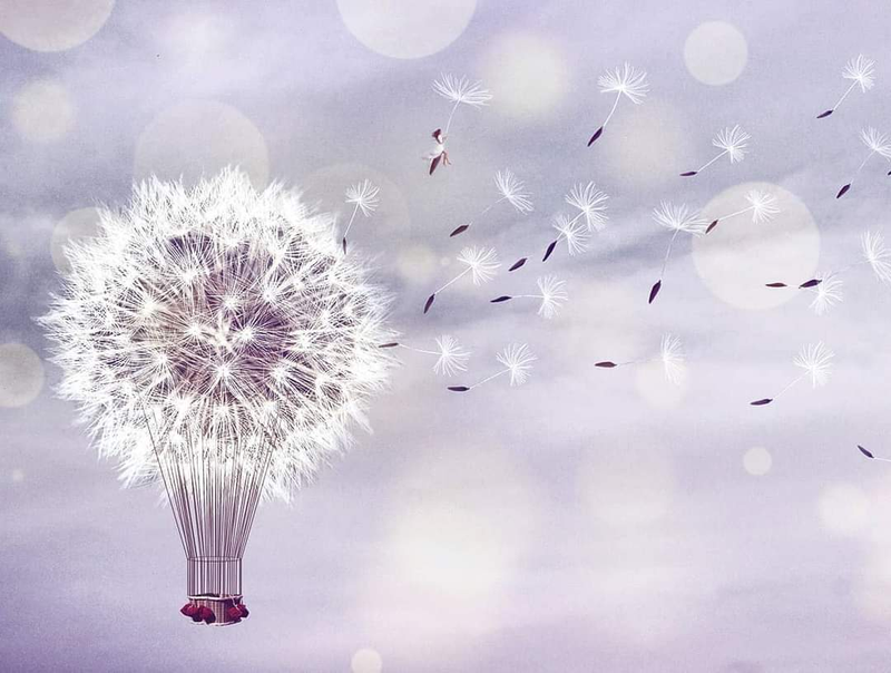 ЕЖЕДНЕВНЫЙ НУМЕРОЛОГИЧЕСКИЙ ПРОГНОЗ