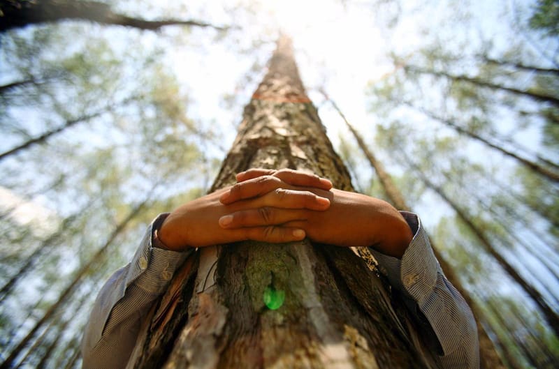 ЕЖЕДНЕВНЫЙ НУМЕРОЛОГИЧЕСКИЙ ПРОГНОЗ