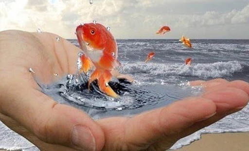 ЕЖЕДНЕВНЫЙ НУМЕРОЛОГИЧЕСКИЙ ПРОГНОЗ