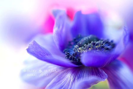 ЕЖЕДНЕВНЫЙ НУМЕРОЛОГИЧЕСКИЙ ПРОГНОЗ