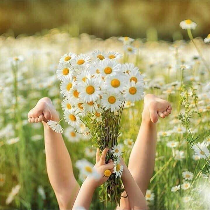 ЕЖЕДНЕВНЫЙ НУМЕРОЛОГИЧЕСКИЙ ПРОГНОЗ