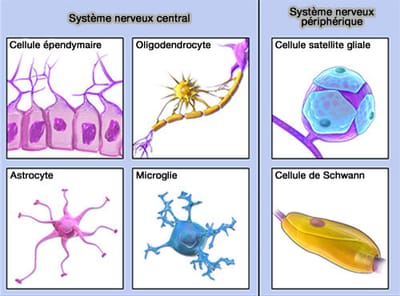 Les révisions de la CFTMEA