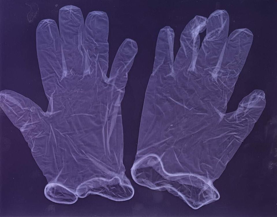Gloves - Sarah Darke