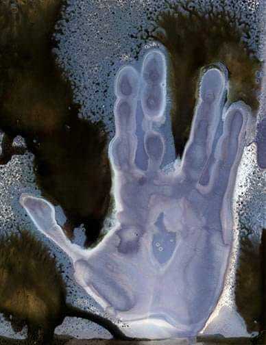 Live well and prosper - Sarah Darke