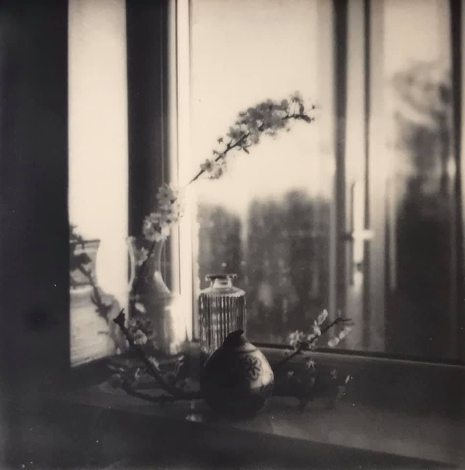 endless inspiration - Meredith Wilson