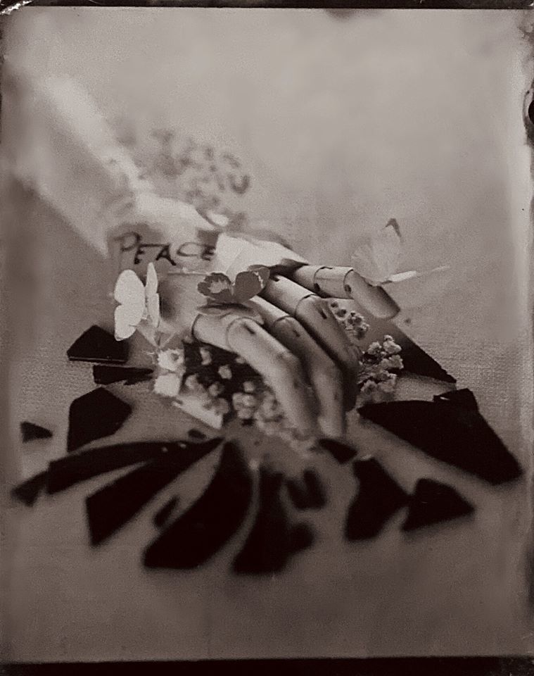 Peace - Kary Janousek