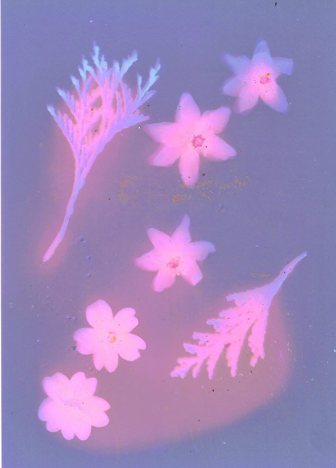 Untitled - Helen Billington