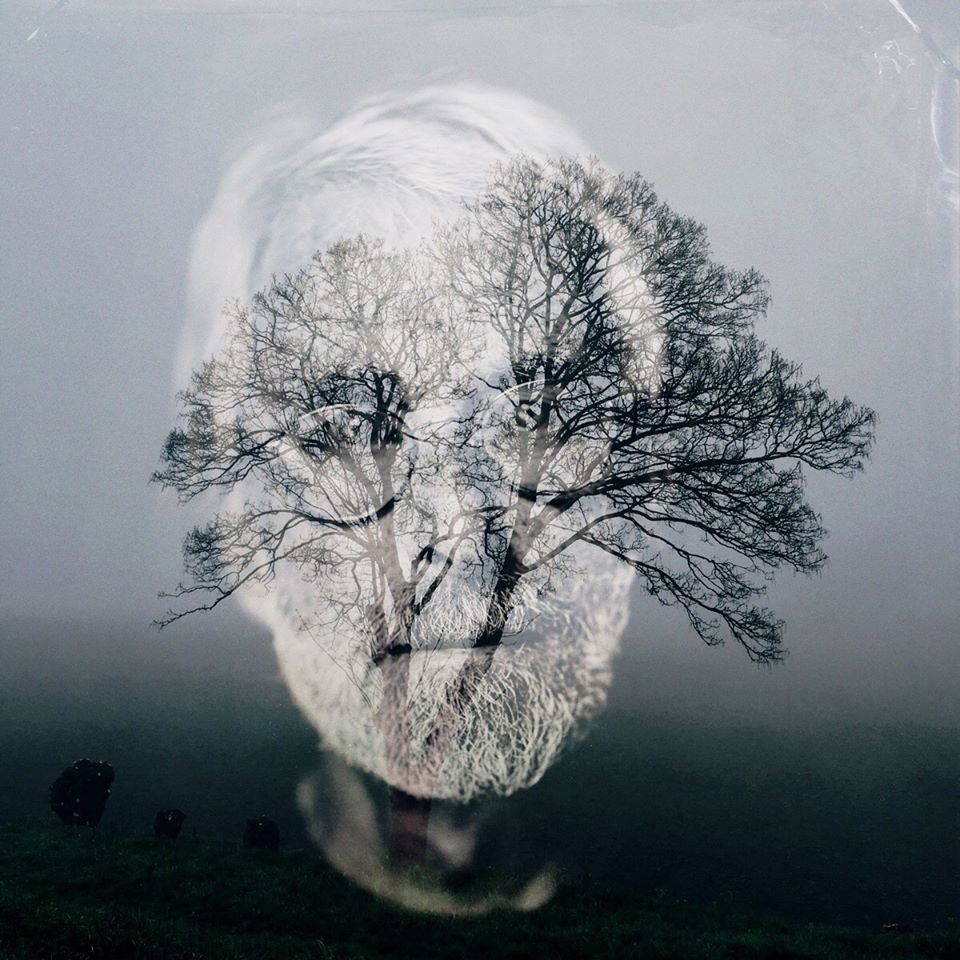 Untitled - Lawrence Mooij