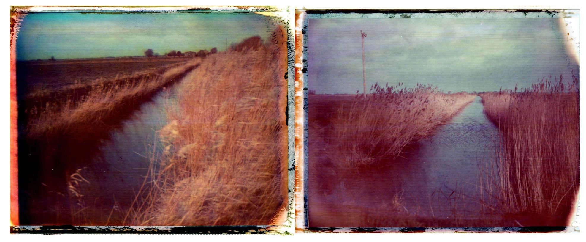 Untitled - Andrew Bartram