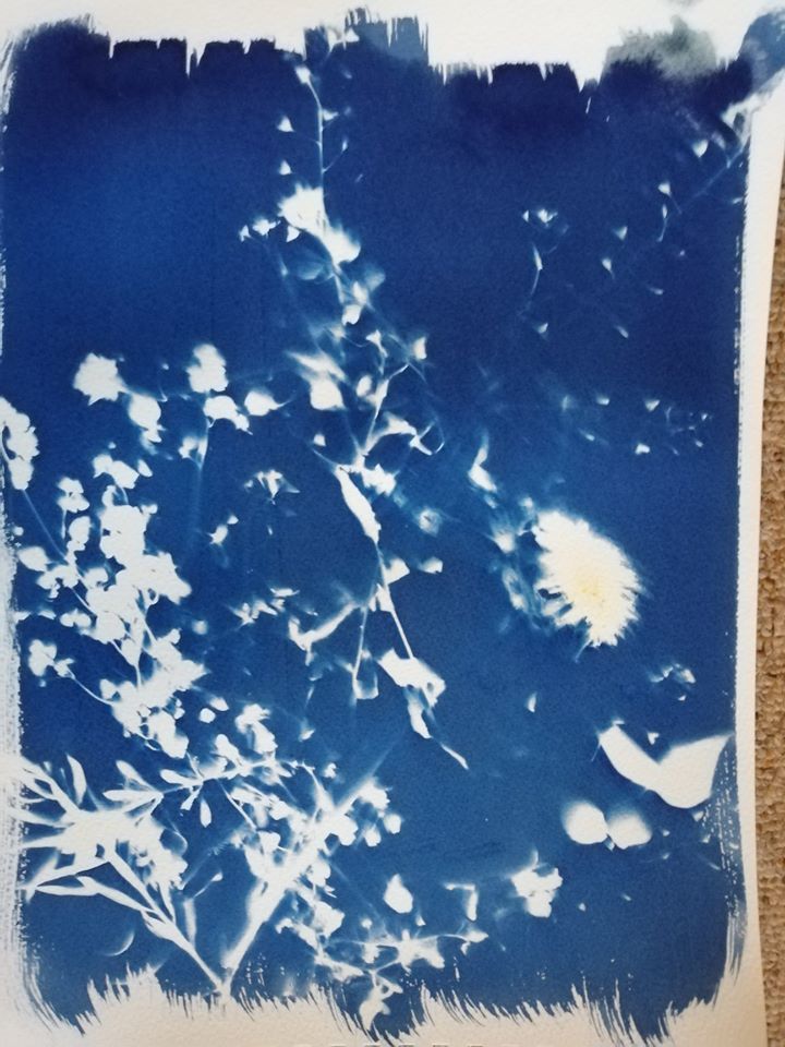 Untitled - Emilie Grand-Clement