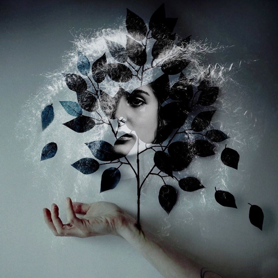 Untitled - Lawrence Mooij