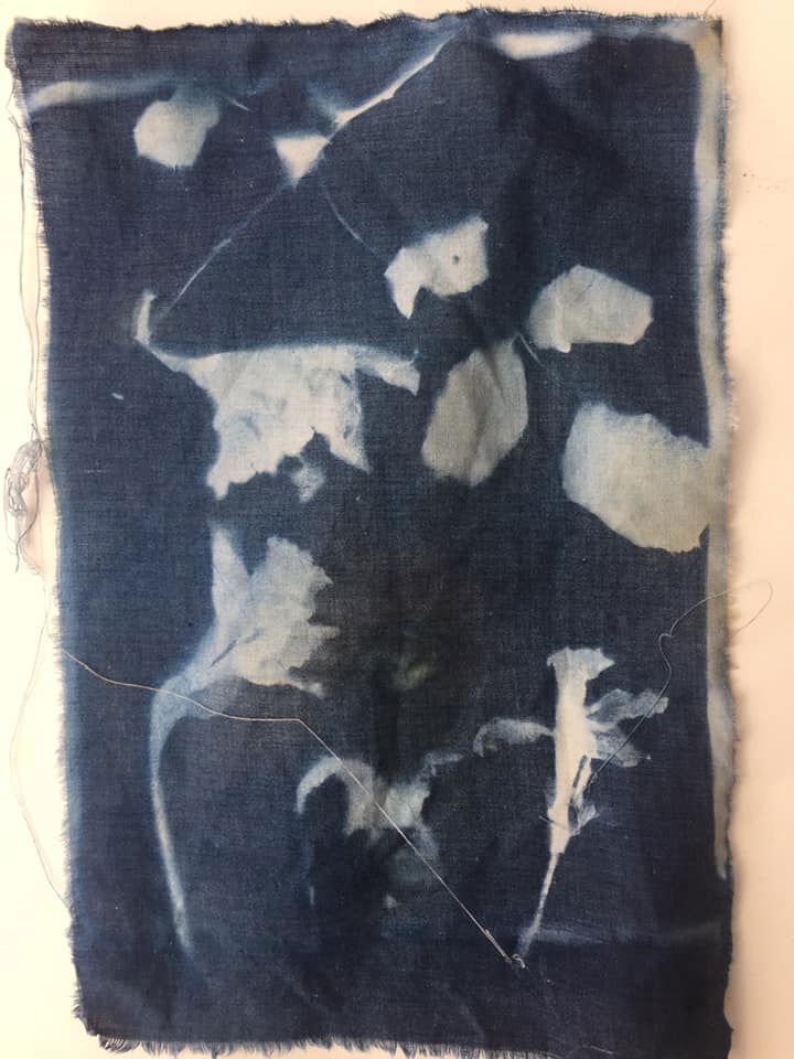 Daffodils and Rose leaves - Andy Billington