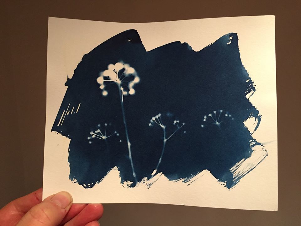 Untitled - Toby Vandevelde