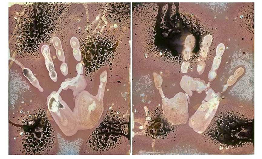 'Wash your hands'. - Sarah Darke