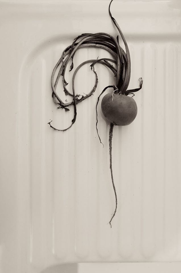 Untitled- Andrew Sanderson