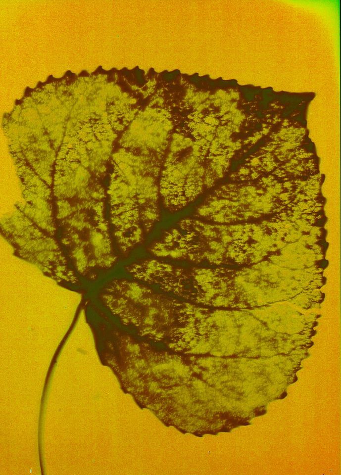 Untitled - Andy Billington