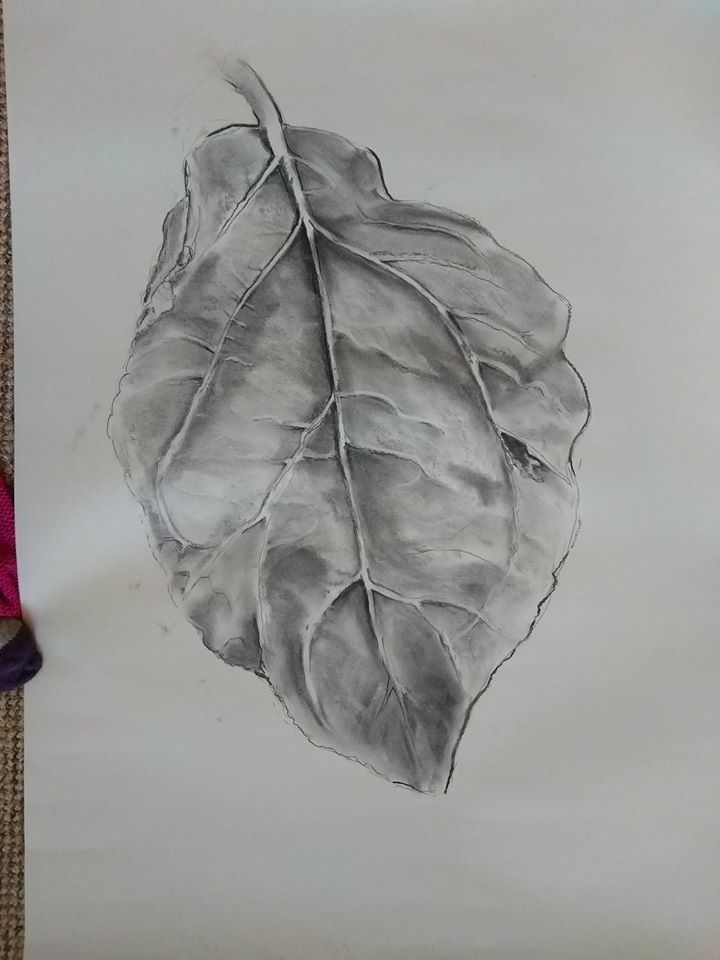 Plum leaf in charcoal 🙏 - Josey Seydel