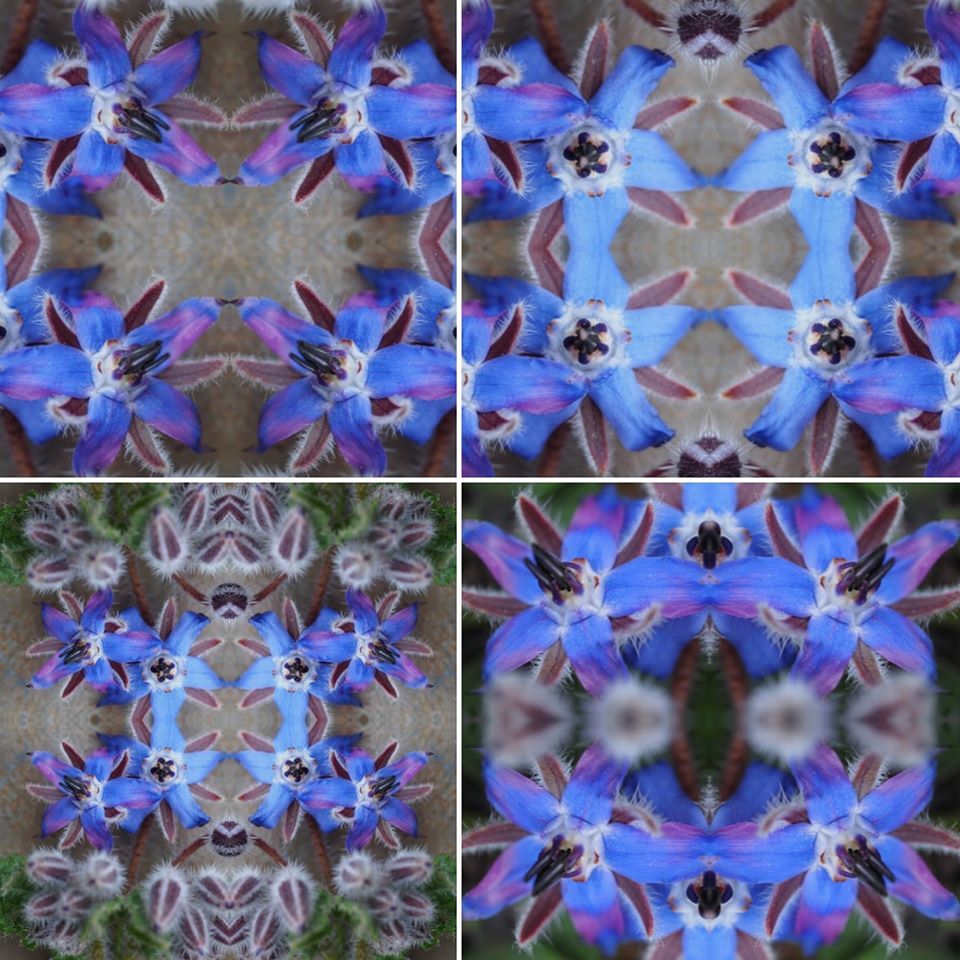 Untitled - Annabel Hill