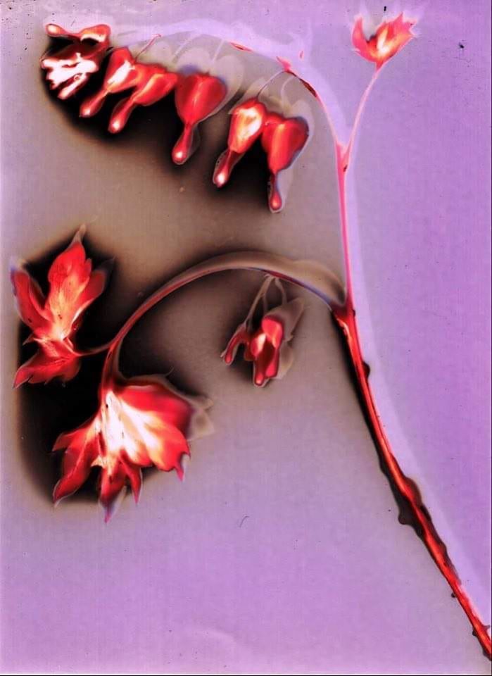 Hearts on Fire - Helen Billington