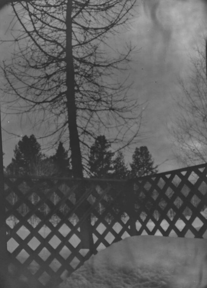 Untitled - Diane Peterson