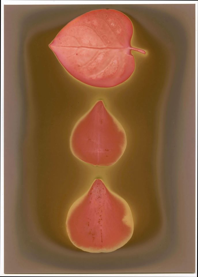 Untitled - ElizermanPhotography