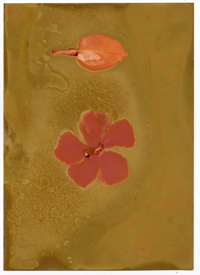 Untitled - ElizermanPhotography