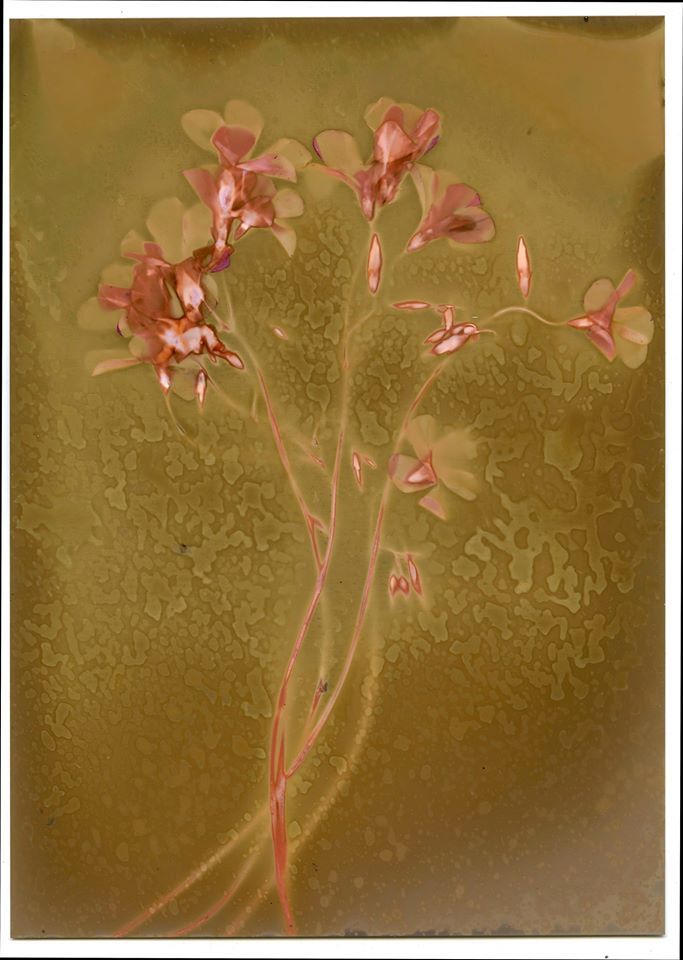 Untitled - ElizermanPhotography