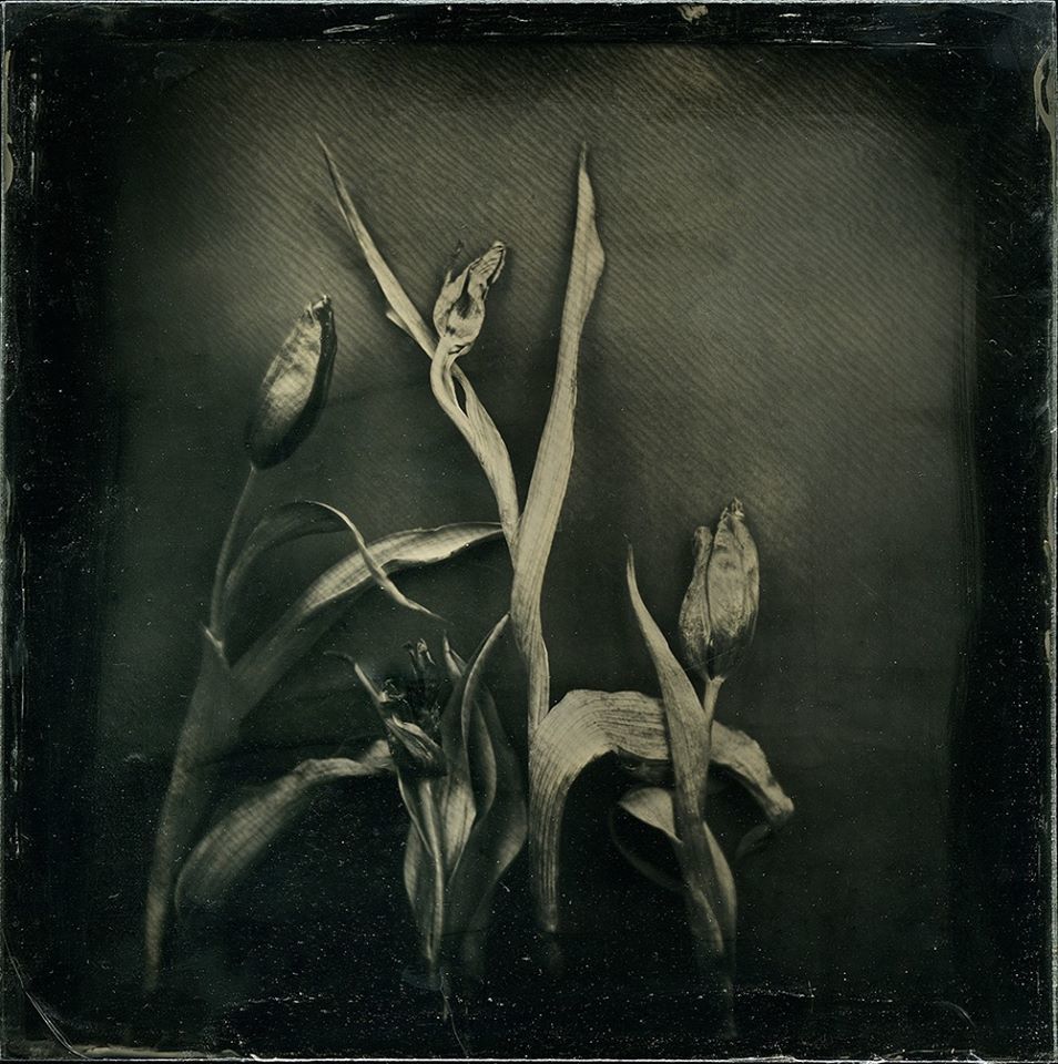 Untitled - Ray Spence