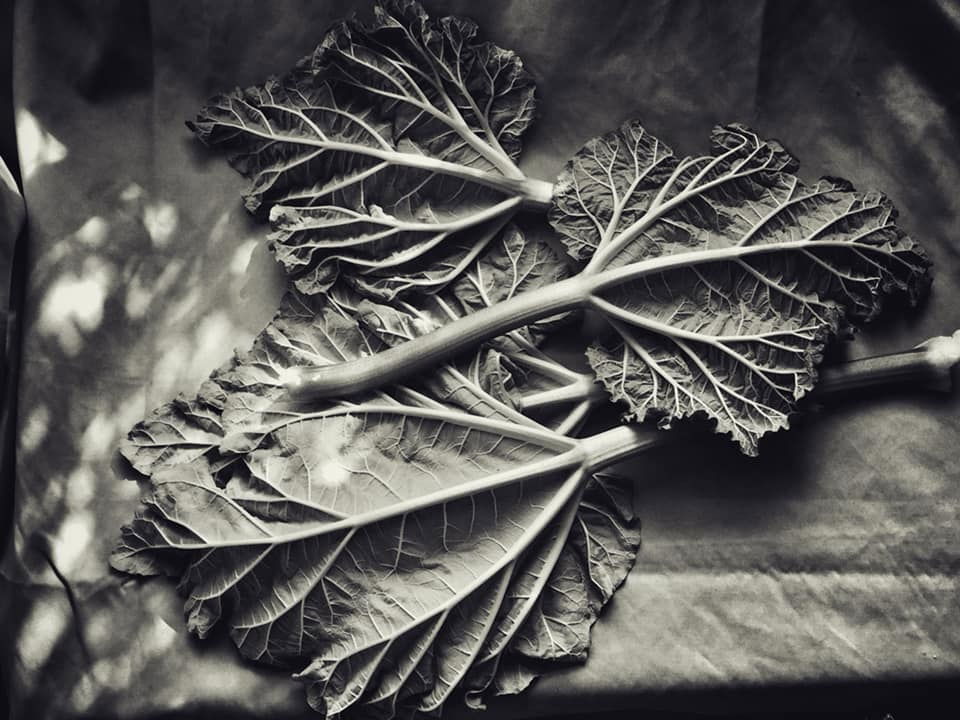 Untitled - Andrew Sanderson