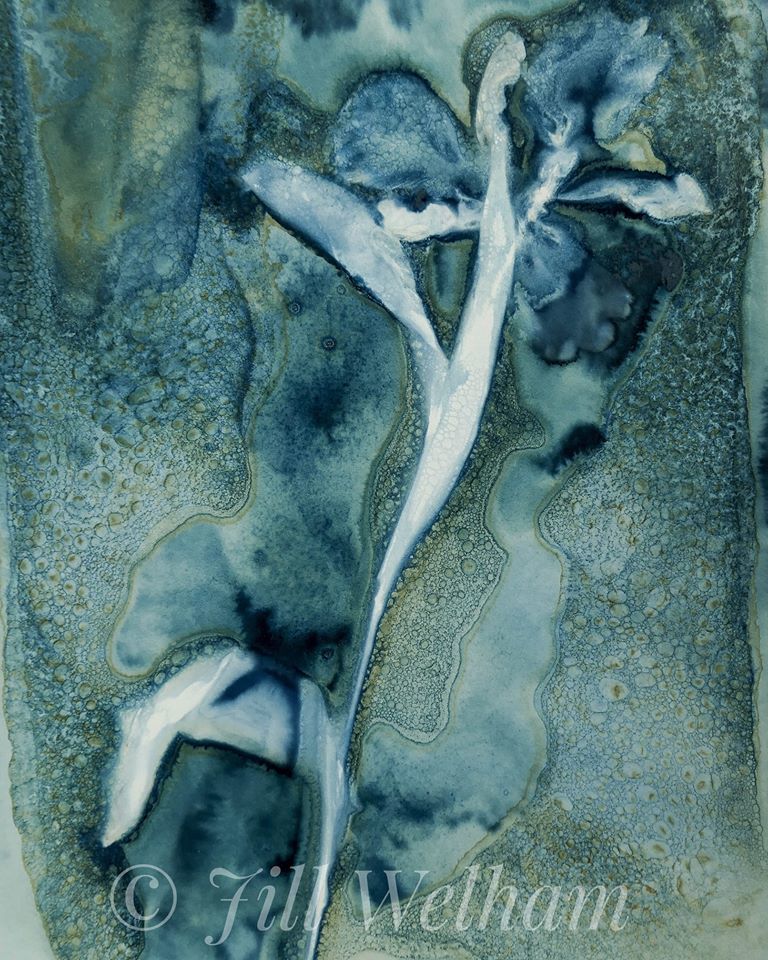 Untitled - Jill Welham