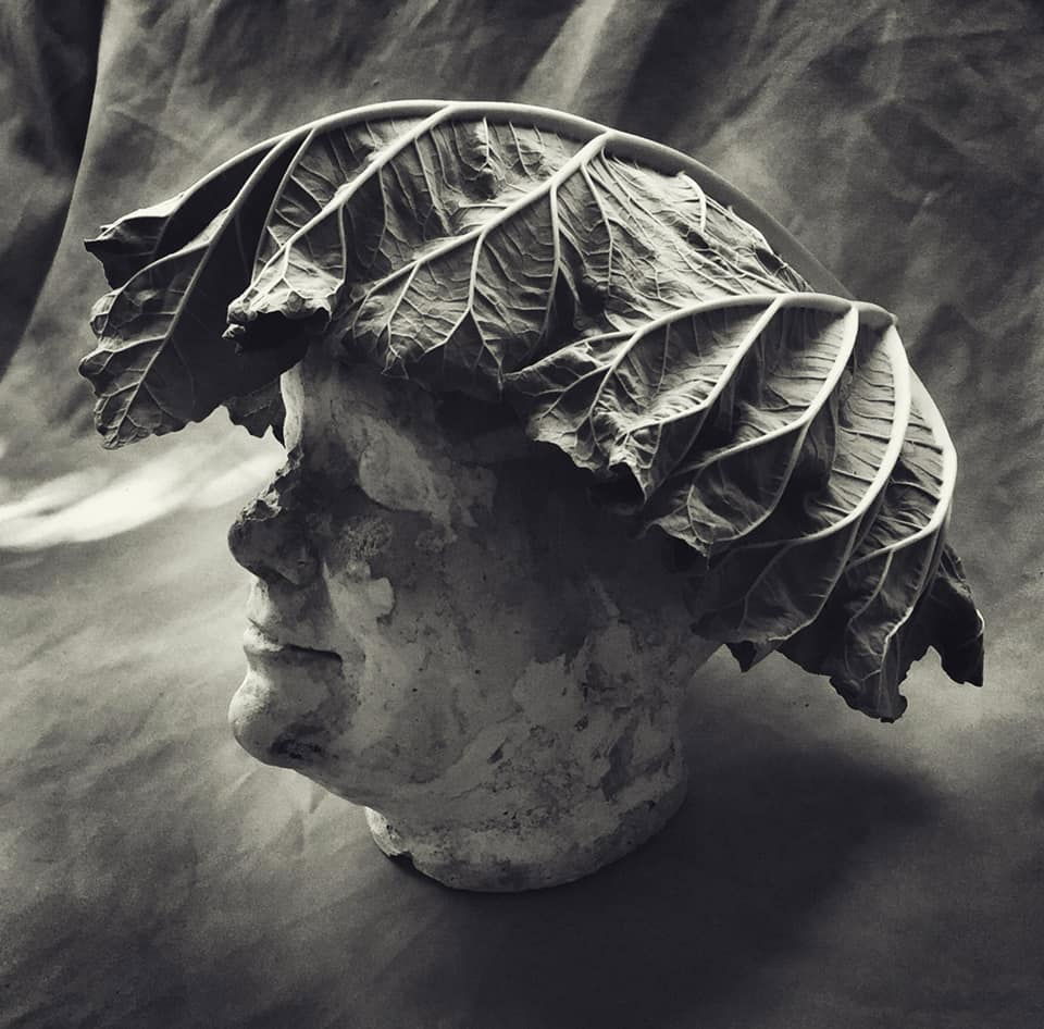 Untitled - Andrew Sanderson