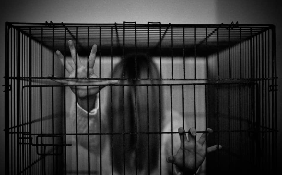 Untitled - Grace Tait