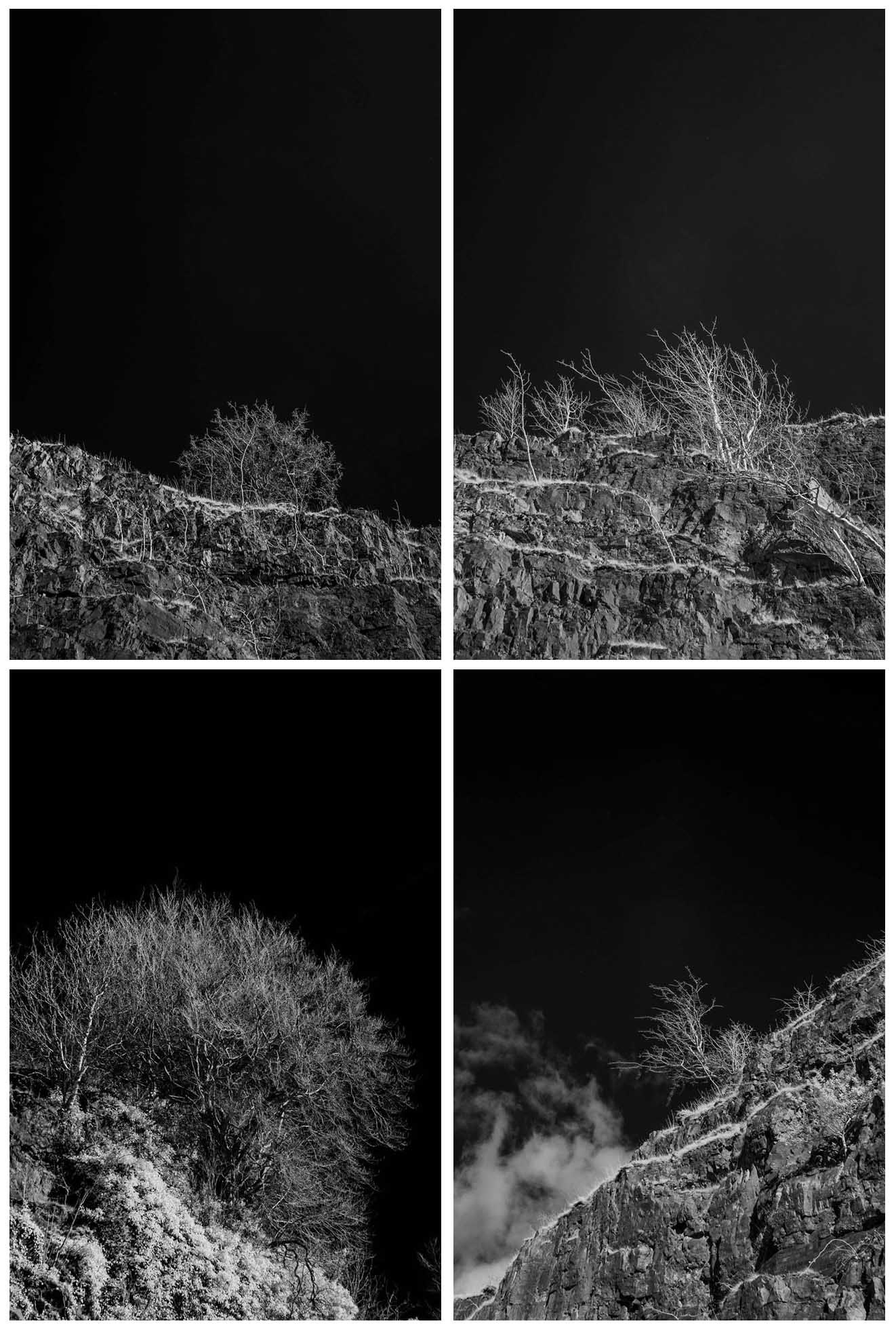 Untitled - Toby Vandevelde