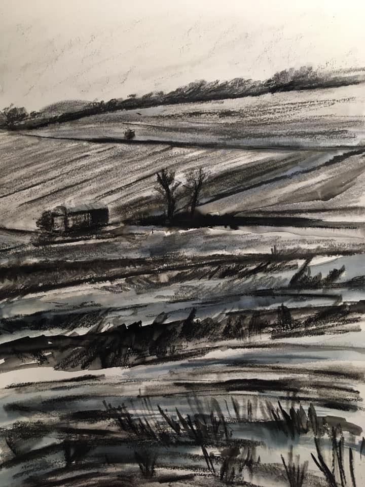 Untitled - Claire Lucas